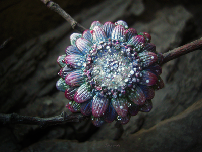 Кольцо "Цветок Галлициниума"