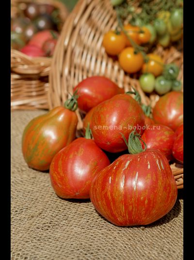 Томат Огненный шар (Palla di fuoco), 10 шт