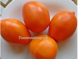 Томат Южный загар