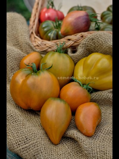 Томат Severe Melon (Суровая Дыня немцев Поволжья), 10 шт