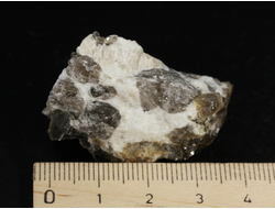 Гранит письменный, пегматит, необработанный, Россия, Мурманская обл. (41*25*23 мм, 25 г) №37790