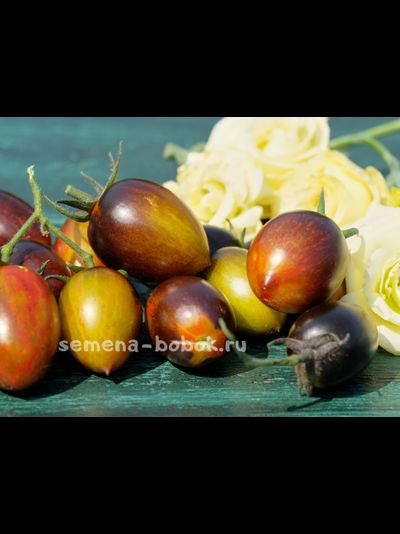 Томат Атомный Виноград Брэда (Brad&#039;s Atomic Grape), 10 шт