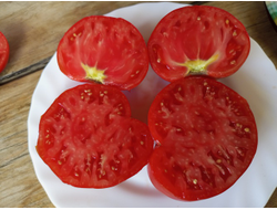 Томат Канадский великан