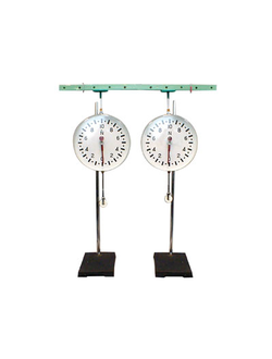 Динамометр демонстрационный 10Н (пара)