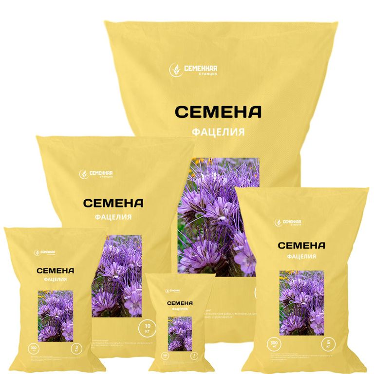 Семена  фацелии 10кг