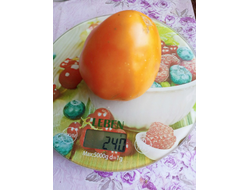 Томат гном Абрикос Виллы Карибу (Dwarf Willa’s cariboo apricot)