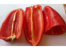 Перец сладкий Паланичко чудо