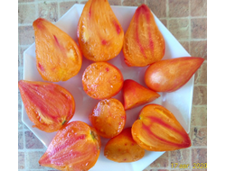 Томат Оранжевый слон минусинский