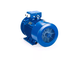 Электродвигатель АИС 160L4 (15 кВт) IM B35