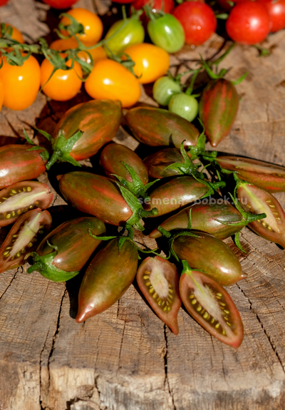 Томат Purple smaragd (Фиолетовый изумруд), 10 шт