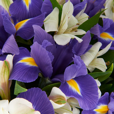 Букет "Snow sky"