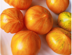 Томат Радужный сердцевидный джаз (Rainbow jazz heart)