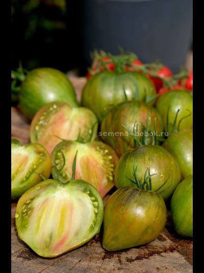 Томат VT-16 триколор, 10 шт