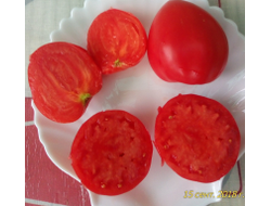 Томат Воловье сердце минусинское