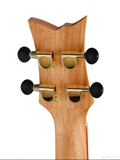 Ortega RUACA-CC (Acacia Series)