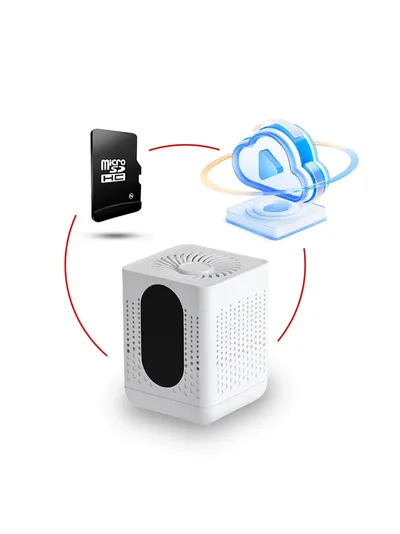 DE/AR7 Wi-Fi аудио диктофон в корпусе очистителя воздуха, встроенный регистратор, доступ с мобильного (CamSC Pro), Непрерывная запись - режим - 63 часа. Режим А - 131 дней, Режим В до 210 дней.