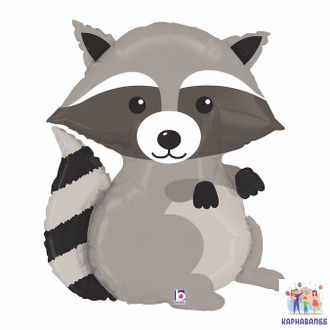 Шар Енот 80 см ( шар + гелий + лента)