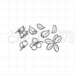 Штамп  брусника