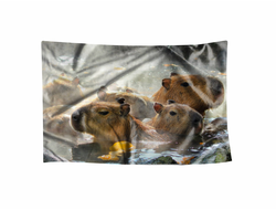 Флаг Капибара, Kapibara-san №29