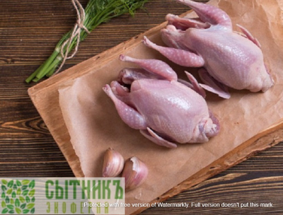 Домашнее мясо перепелов свежее купить от фермера