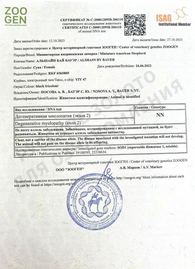 Аля. Результаты анализов на генетические заболевания.