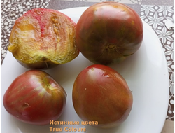 Томат Истинные цвета (True Colours), Канада