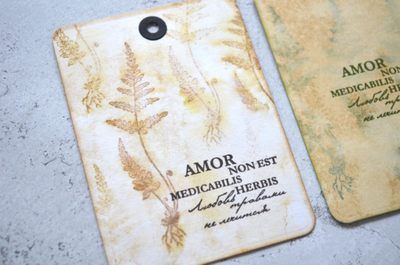 ФП  штамп "Папоротник серебристый"