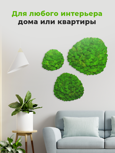 МИКС ЭКО-КАРТИН 1015