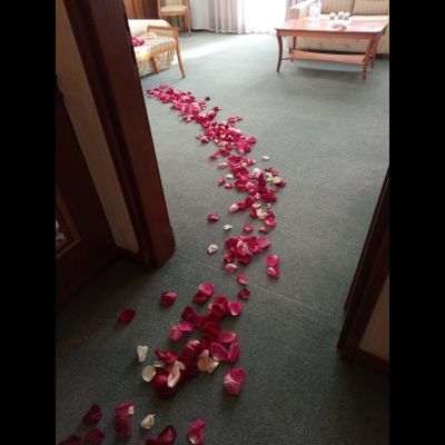 Оформление номера лепестками роз № 1492