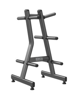 Стойка для дисков BRONZE GYM BR-1023