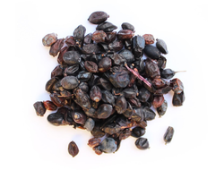 Барбарис 500 грамм