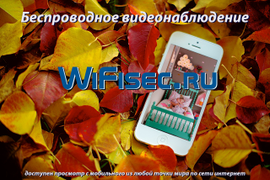 WiFi технологии видеонаблюдения с сервисом P2P IP видеоняни на WiFisec.ru