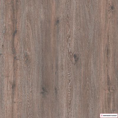 Ламинат Woodroyal Дуб Сурат D59837 33 класс толщина 8 мм с фаской 2.109 м2