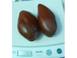 Томат Кубинский перцевидный