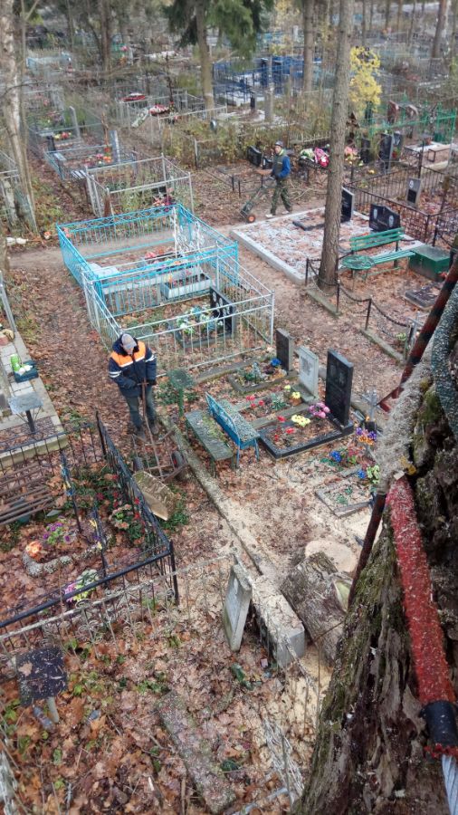 Вырубка крупного аварийного тополя на Рождественском кладбище 