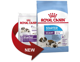 royal canin giant starter mother babydog