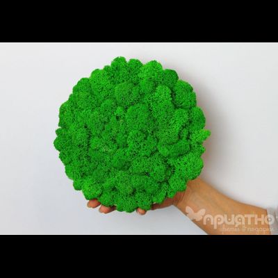 ЖИВАЯ ЭКО-КАРТИНА 1042