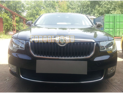 Защита радиатора Skoda Superb 2009-2013 black PREMIUM