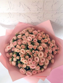 19 кустовых роз