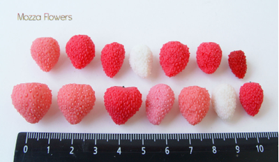 "Гигантская земляника" Силиконовый молд