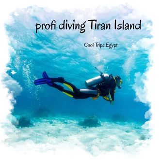 Professional diving near Tiran Island from Sharm El Sheikh