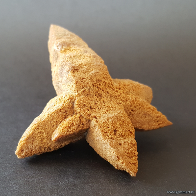 Глендонит - (Беломорская рогулька) 69*51*32мм