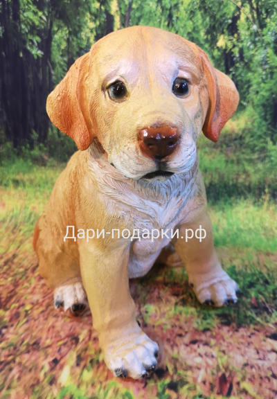 ЛАБРАДОР щенок 24*23см  полистоун Россия 895-012704