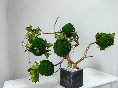 Живая эко-композиция 1006