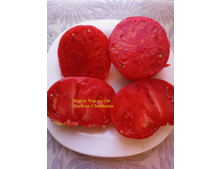 Томат Марло Чарльстон (Marlowe Charleston, Мэрлоу Чарльстон), США