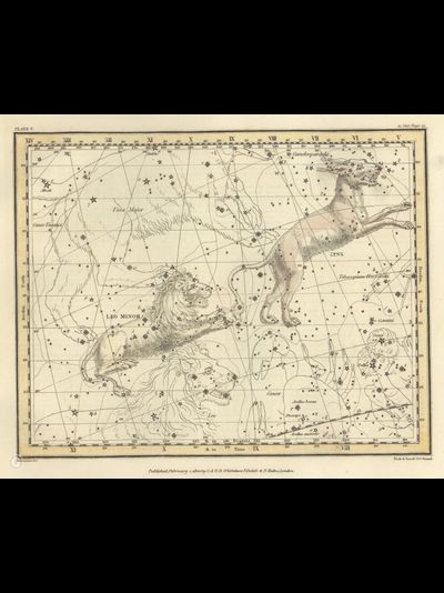 Картина обогреватель, фото старинной Карты созвездий Малый лев, Рысь