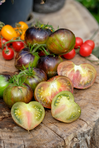 Томат Изумрудный Дождь, 10 шт