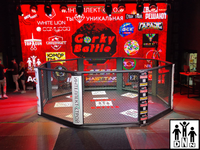 Ринг (клетка) для ММА напольная (диаметр 5 м без помоста) DNN