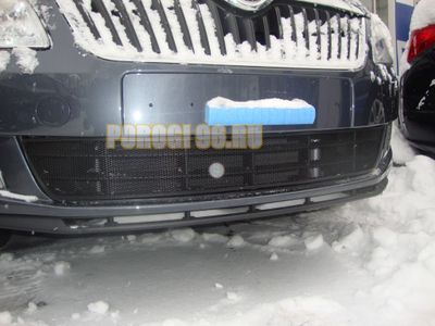 Защита радиатора Skoda Fabia 2 рестайлинг 2011-/Skoda Roomster 2011-2015 black