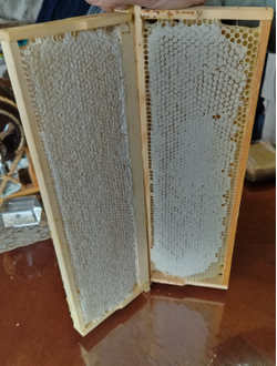 мед в сотах купить